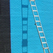 Deep Ellum Koi