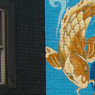 Deep Ellum Koi