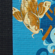 Deep Ellum Koi